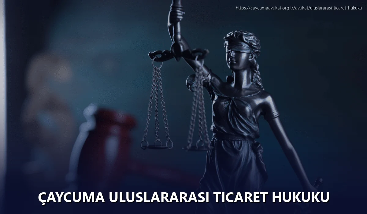 Çaycuma Uluslararası Ticaret Hukuku